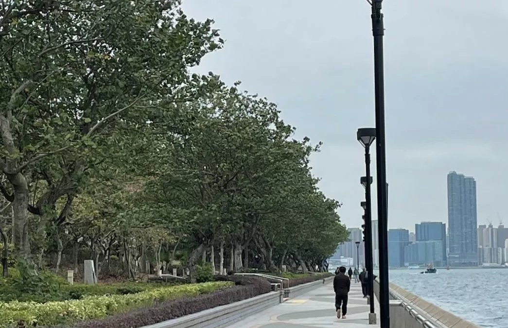 愛秩序灣海濱花園